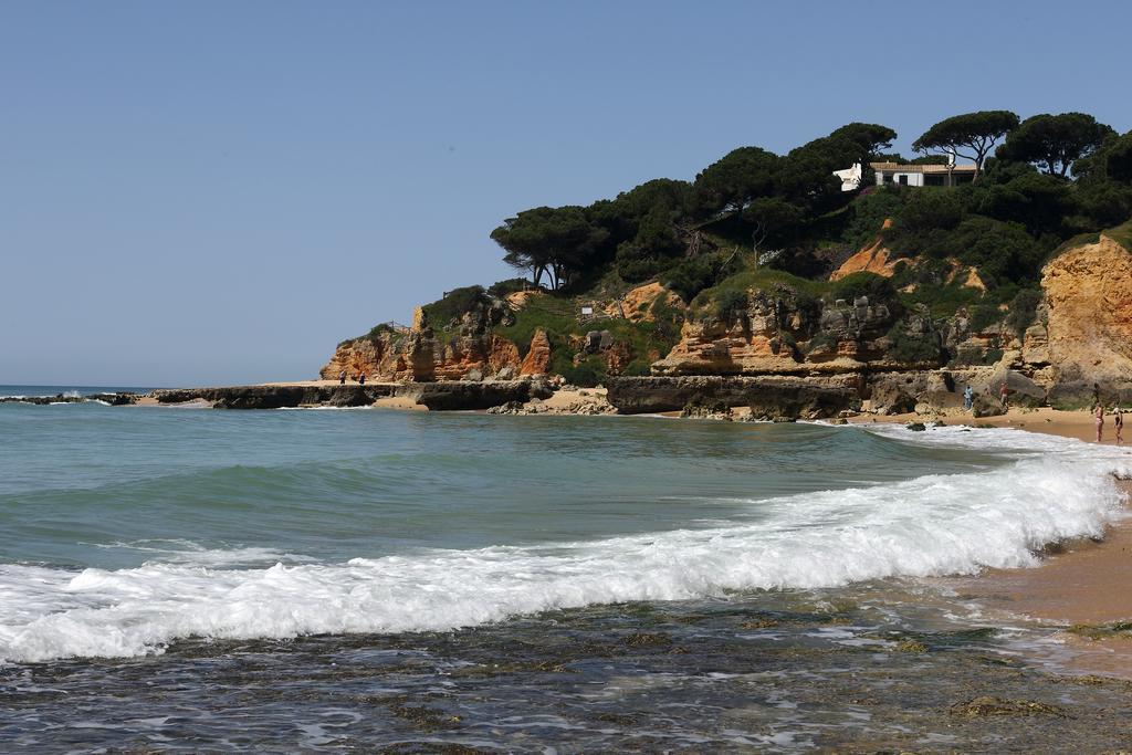 Bed and Breakfast Mira Parque Albufeira Exterior foto